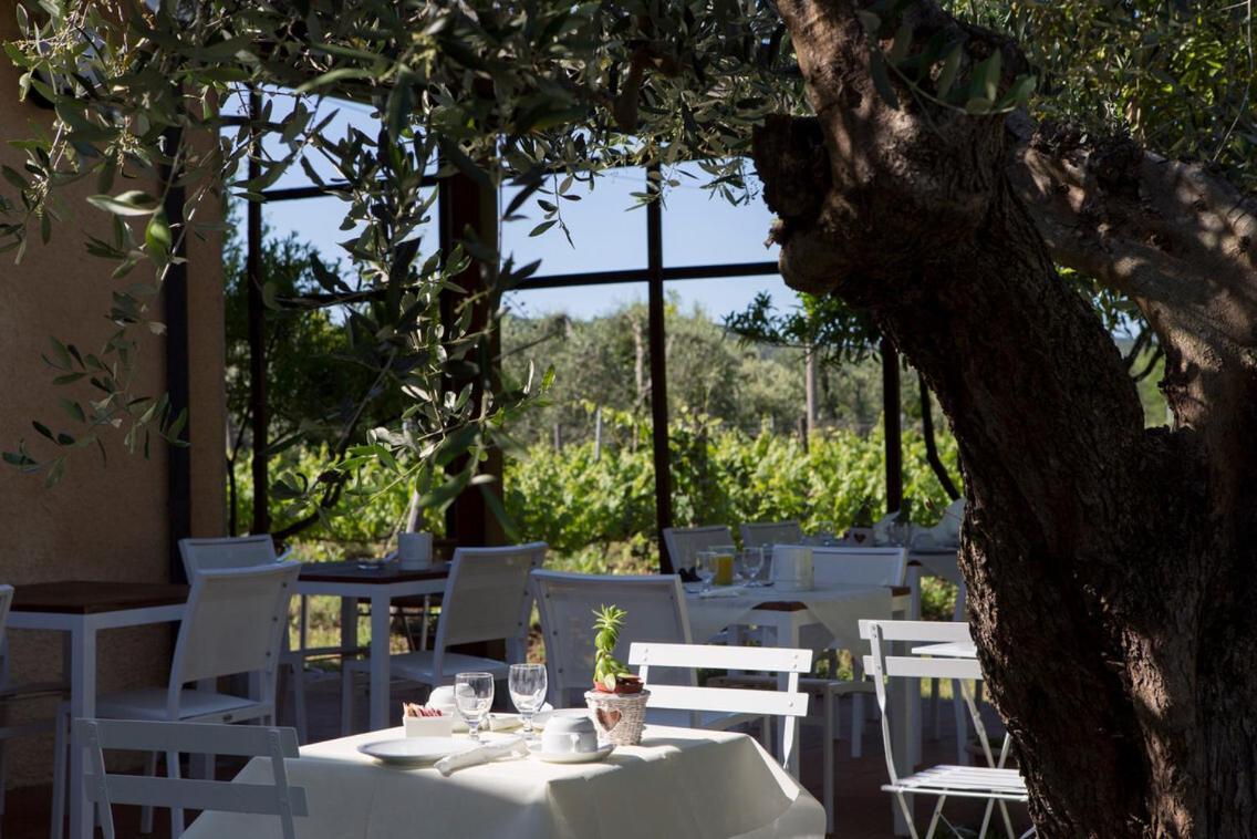 La Cipriana Villa Castagneto Carducci Exteriör bild