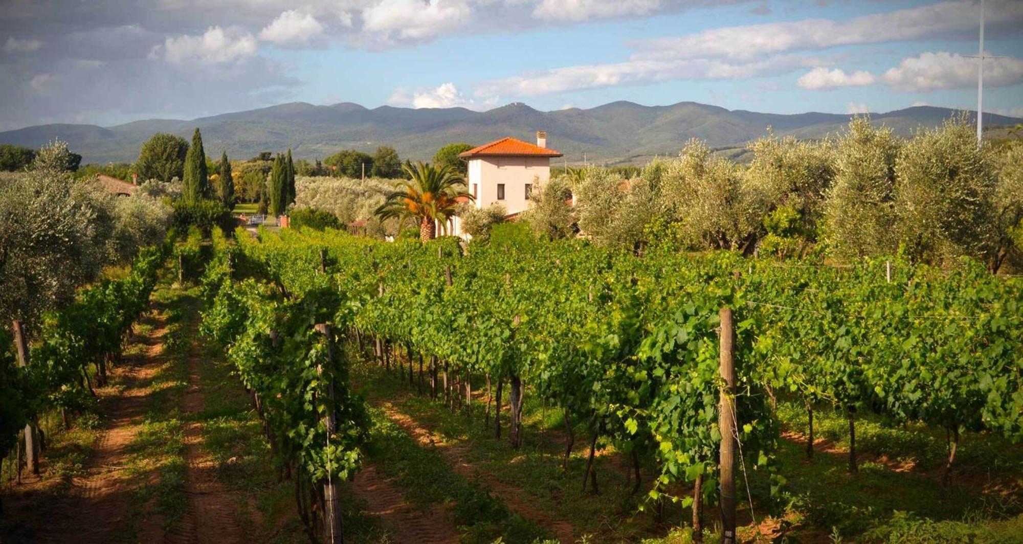 La Cipriana Villa Castagneto Carducci Exteriör bild