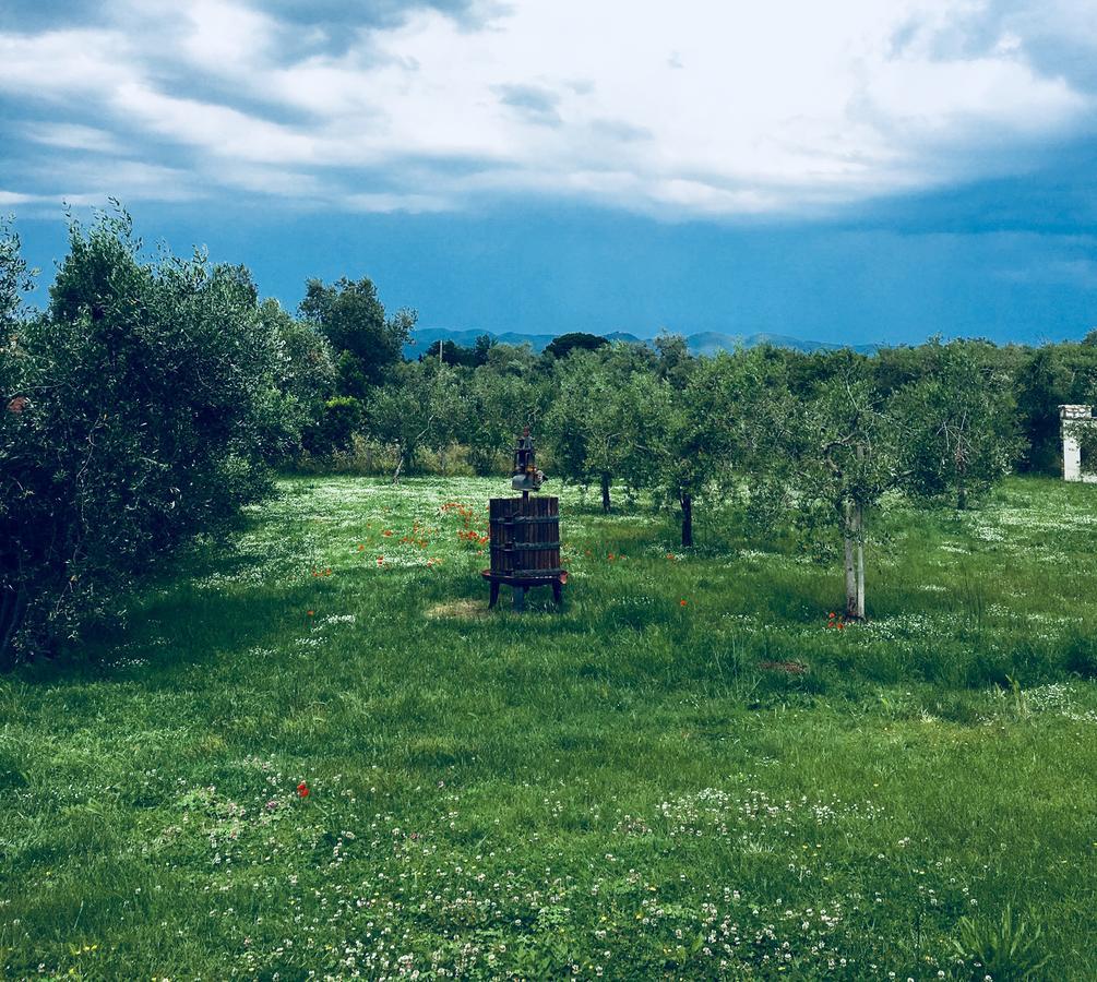 La Cipriana Villa Castagneto Carducci Exteriör bild